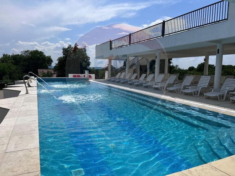 DE VANZARE Pensiune cu piscina, pastravarie, zona spa locatie de vis - 22
