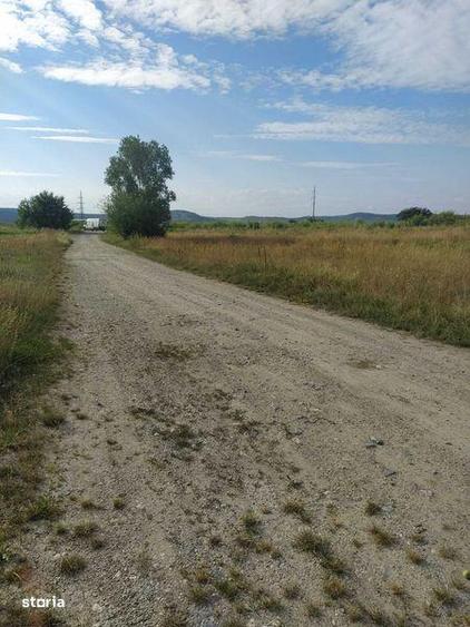 Vand teren pe Valea Avrigului - 4