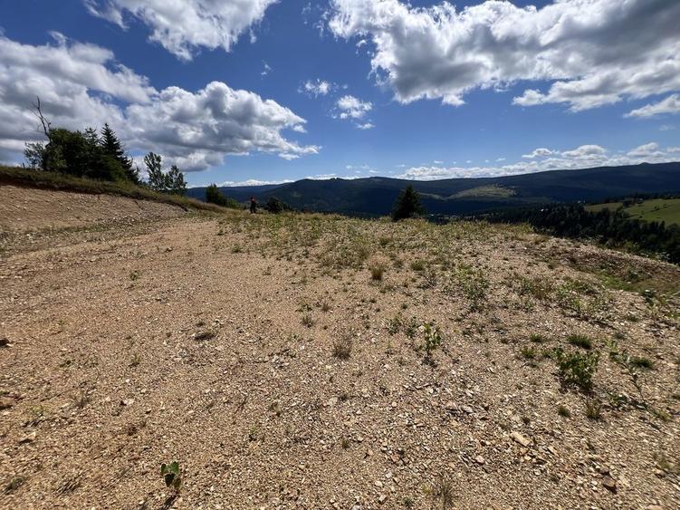 Vand Teren superb in zona Belis Accept plata in crypto - 3