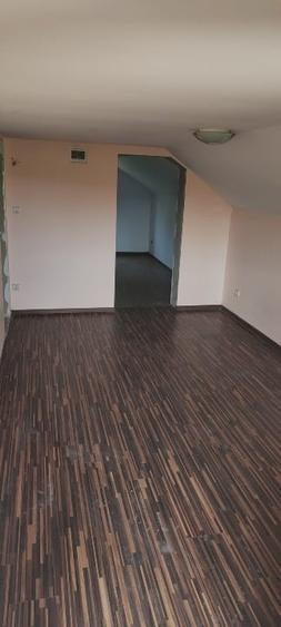 Casa+ casa batraneasca Surupate(Comuna Francesti, Valcea) - 15