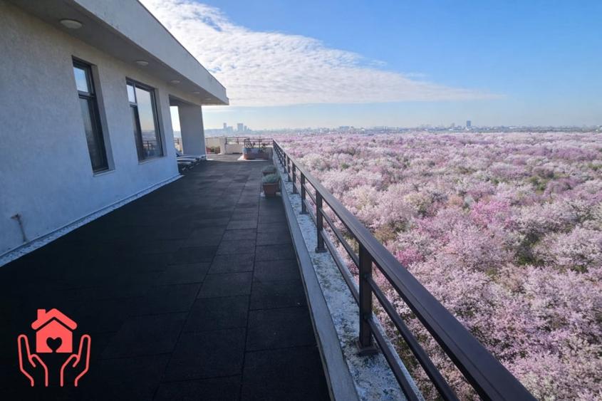 IANCU NICOLAE (ZOO)-PENTHOUSE 250 mp utili + 250 mp terasa, 3 dormitoare! - 5