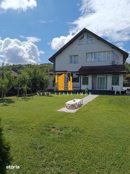Vila superba BASCOV - Braileni - 18