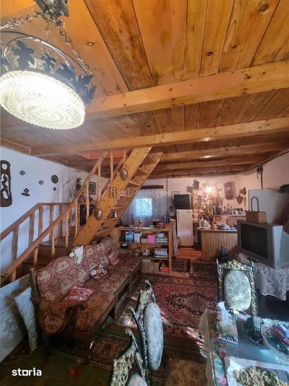 Casa de vacanta Alexandria -La Izvorul Rece - 5