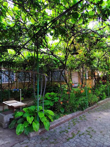 Casa de Vanzare, Sintea Mare, 6 km de orasul Chisineu Cris - 3