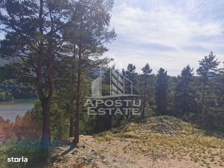 Teren intravilan, 2000mp, cu vedere panoramica spre lacul Valiug - 8