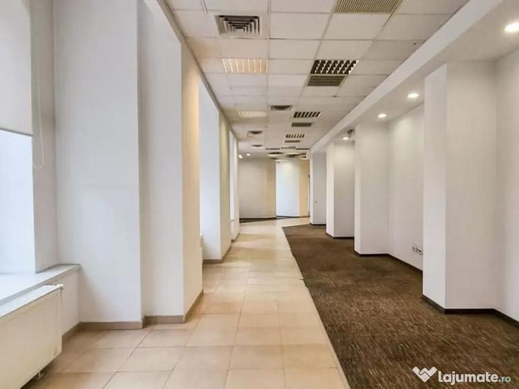 Zona P-ta Unirii P+M 195 mp trafic intens - 7