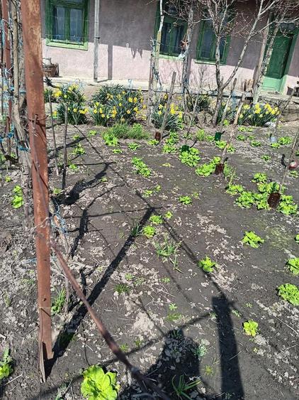 Buna ziua ! Vand casa in comuna ,Dunavat de Sus ,Tulcea ! - 6