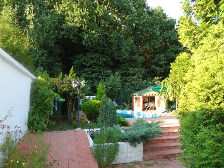 Vila piscina superba gradina matura cu iesire directa la padure - 5