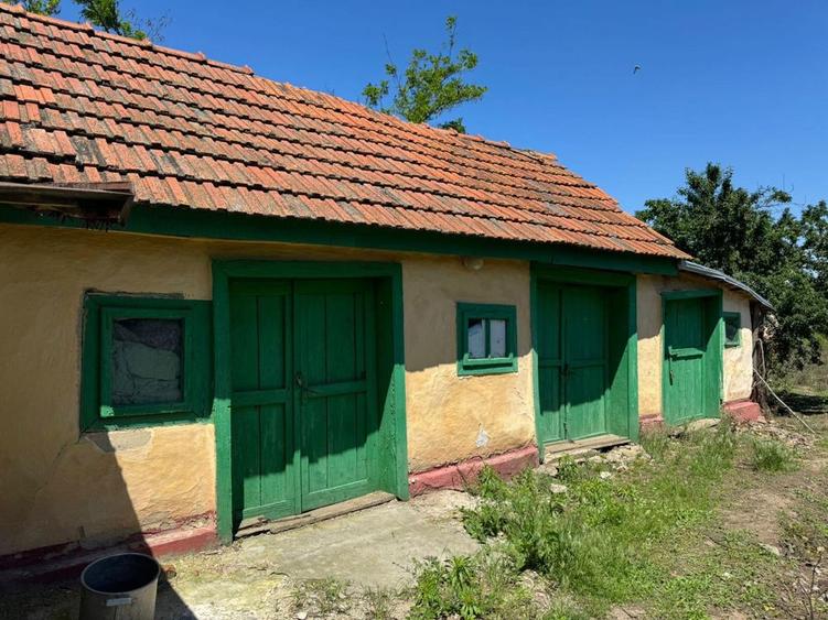 Casa parter Braila Ulmu/ Mohreanu curte 1225mp - 3