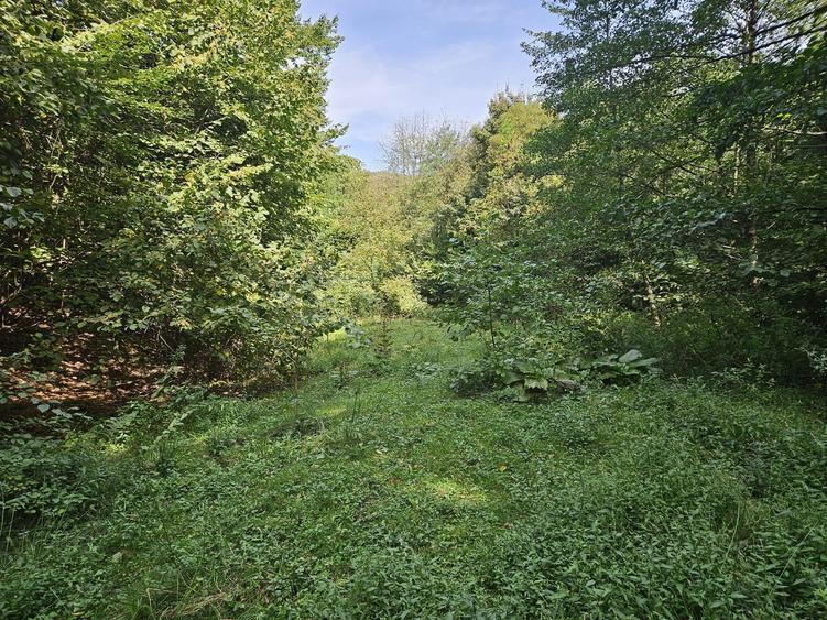 Vand teren Costesti, jud. Hunedoara - 3