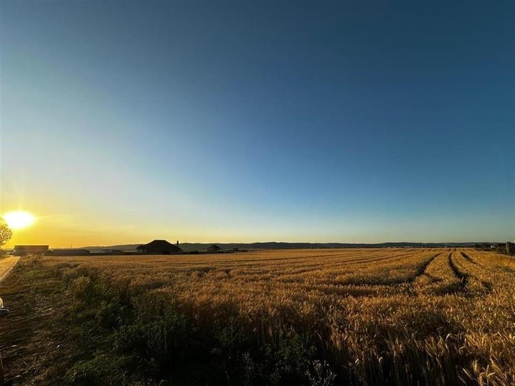 RECO Teren intravilan in Cheriu 2.303 mp - 5