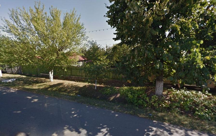 Teren intravilan cu deschidere la lacul Snagov - 1