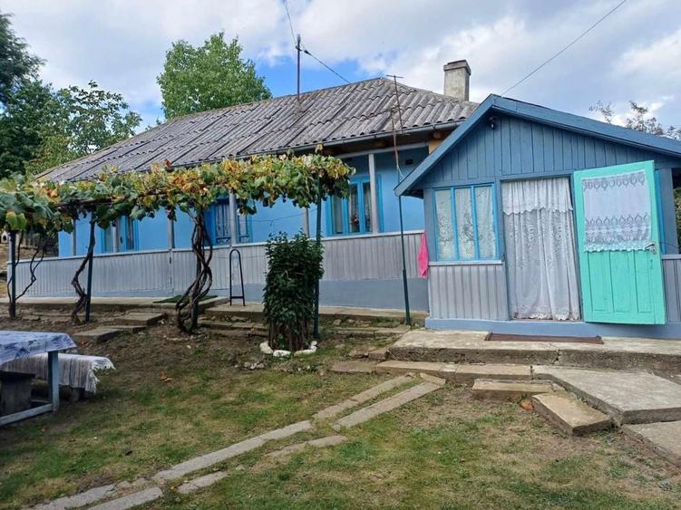 Casa batraneasca +teren 3000 mp la doar 18 km de Oras ! - 3