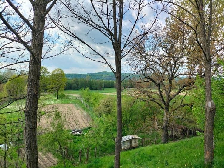 V&acirc;nd / schimb casă P + 1 și 1000 mp teren &icirc;n localitatea St&acirc;lpeni. - 10