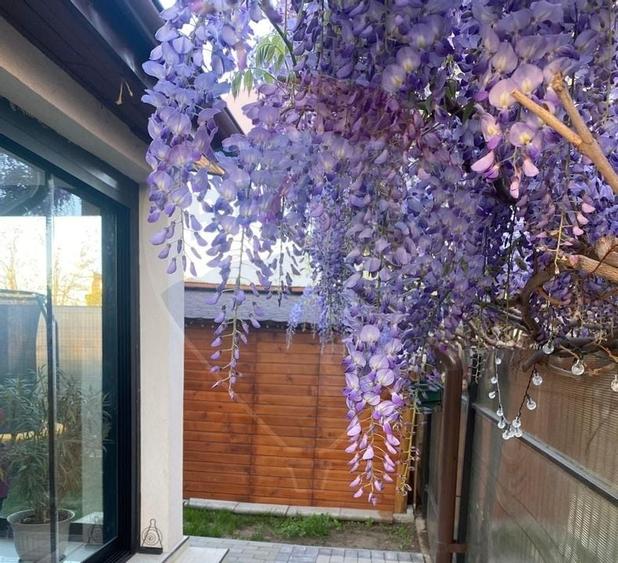 Casă / Vilă de vanzare in Otopeni, ansamblu rezidential, langa centru - 18