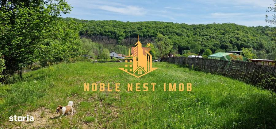 Teren extravilan 2200 mp - Budeasa Mica, Arges - 7