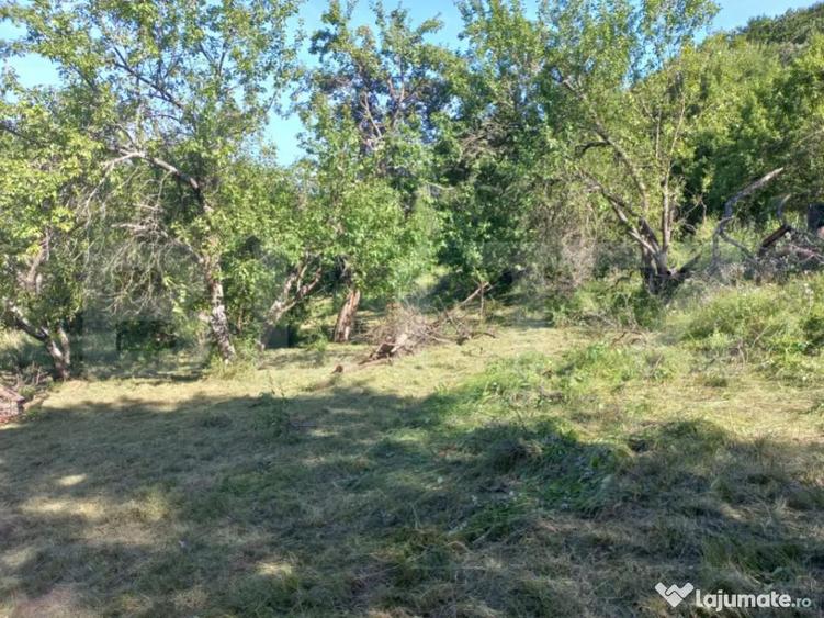 Teren intravilan 4.175 mp in Inuri ideal cabana/casa - 1