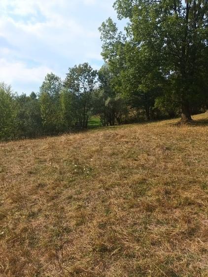 Teren de vanzare Coebeni-Turburea-Arges - 3