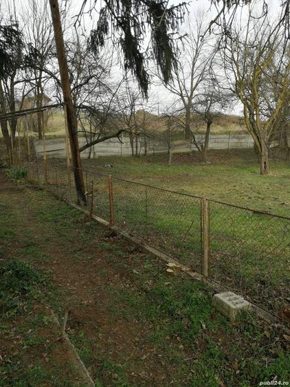 Va d casa la tara 5800 mq - 1