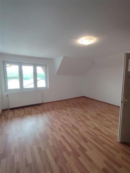 RECO Pensiune complet renovata in Haieu - 14