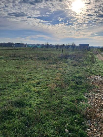 teren Nojorid cartier nou - 1