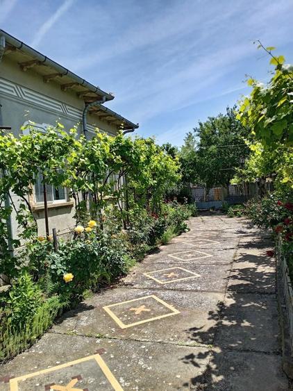 Vand Casa cu anexe si 2400 m/p Boureni, Dolj - 6