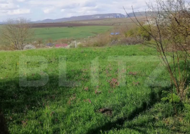 Teren intravilan, 1500 mp in Turda - 3