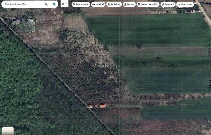 `Teren cu dubla deschidere, langa padure, Snagov - Strada Parcului