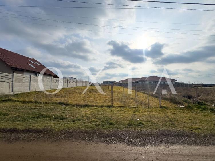 OX629 Teren in Dumbravita - utilitati complete, acces facil, aproape de centura - 4