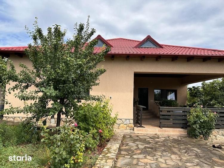 Casa parter com Pietroasele , pe dealul Istrita - 4