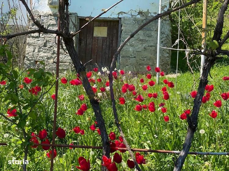 Casa demolabila cu teren de vanzare in Breaza - 3