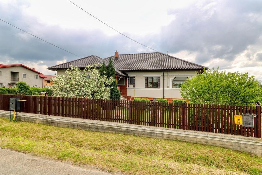 Oportunitate - Casă boierească  de poveste- 7000 mp teren - 9