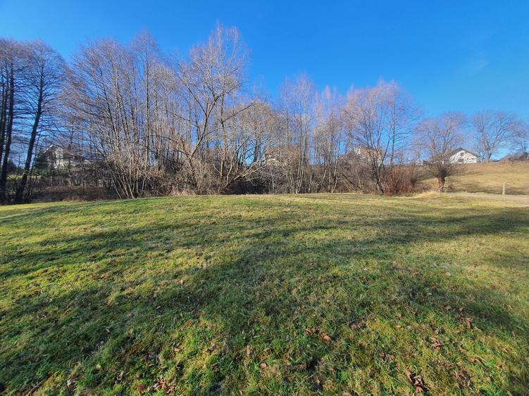 Teren rezidential zona Bran Predelut zona de case si pensiuni - 3