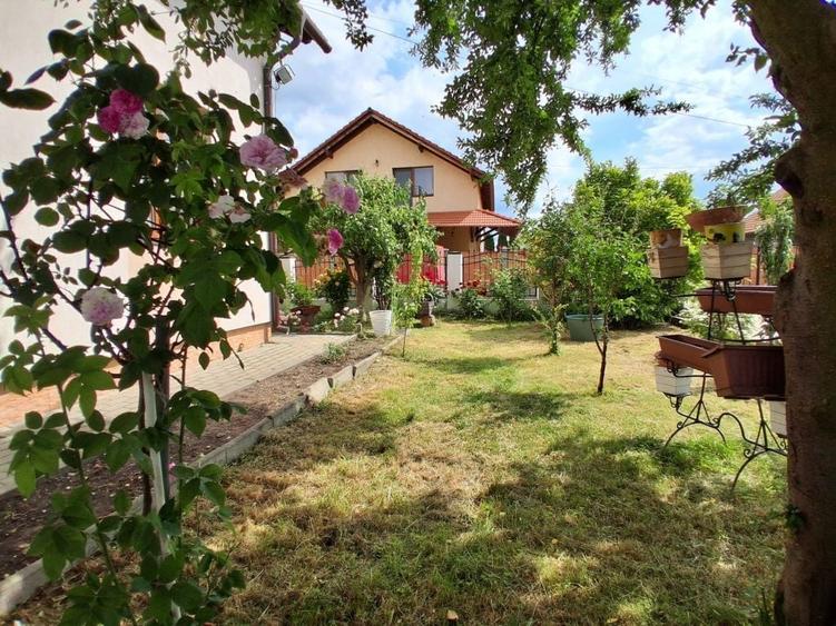 Casa de Vanzare Drumul Petrestiului - 1