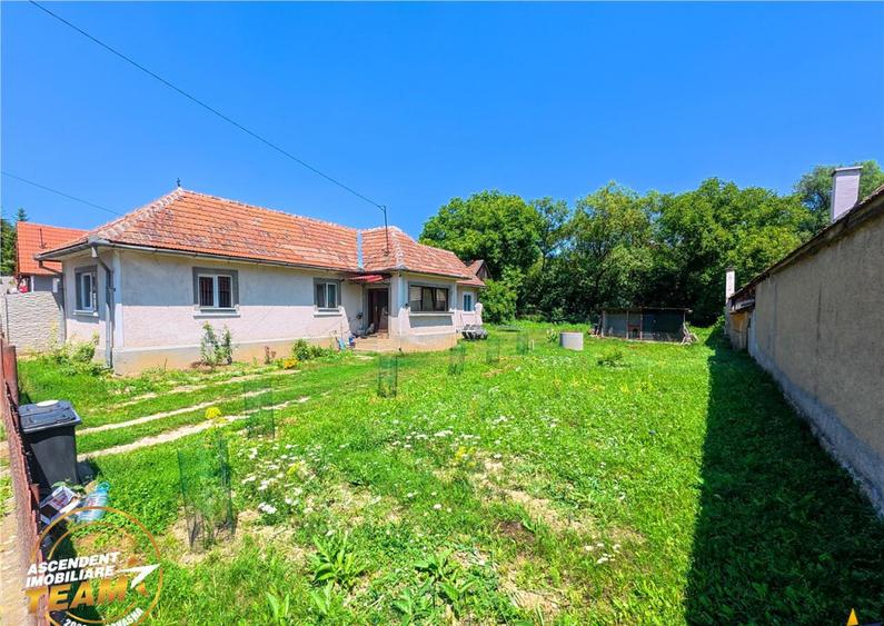 Casa luminoasa de 107 mp, 1.000mp teren, 250 m de izvorul cu - 11