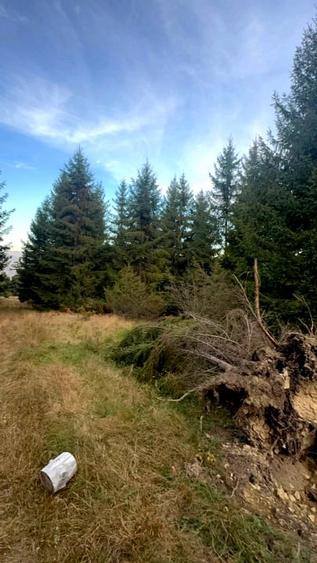 Vanzare 5,3 ha pasune deasupra Voronetului Suceava - Proiect Turistic - 10