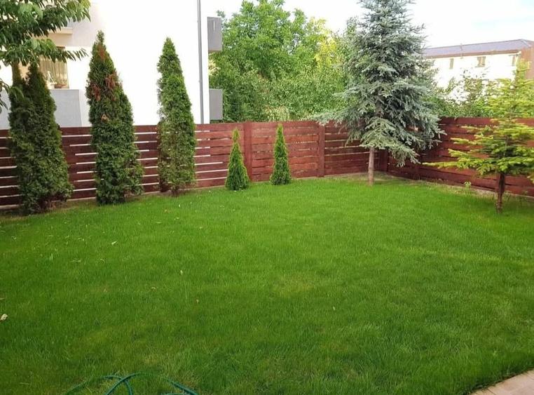 Triplex cod 160434 tel 0731226666 - 13