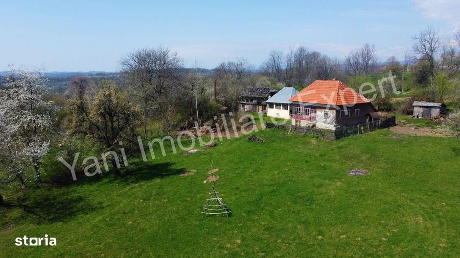 Casa + 10.156 mp teren de vanzare in comuna Valea Iasului, jud Arges. - 4