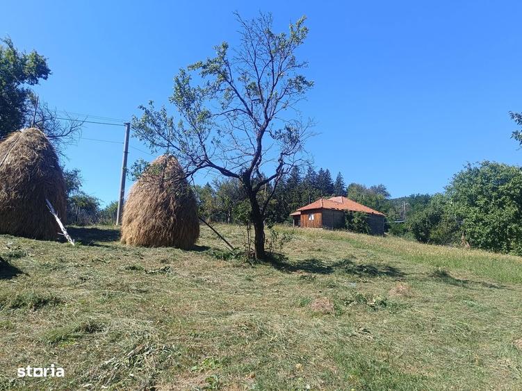 Teren Pietriceaua - 3