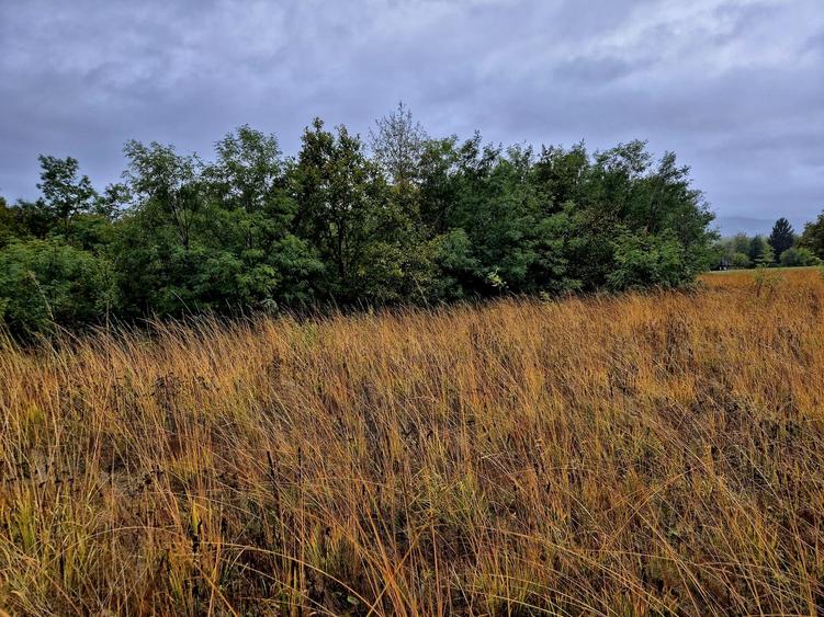 Comision 0%, teren extravilan 12497 mp Sinca Noua - 6