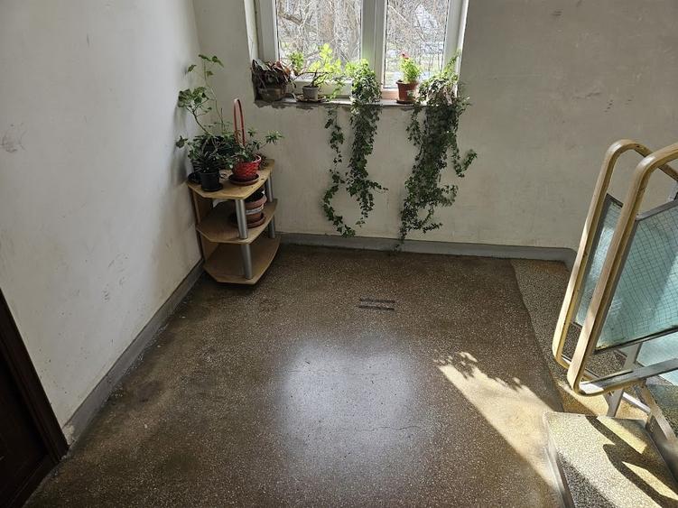 Drumul Taberei, Favorit - 2