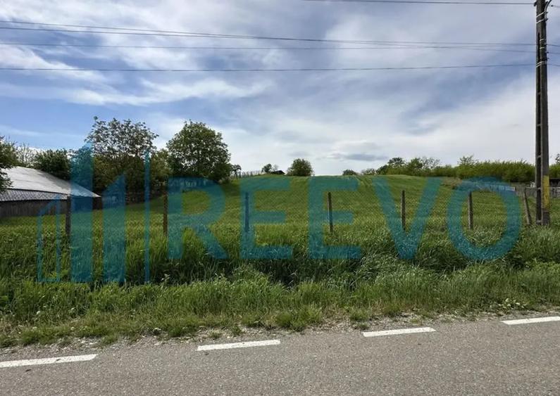 Teren de vanzare, Sat Valea Mare, Com. Ro?iori, Bacau - 11