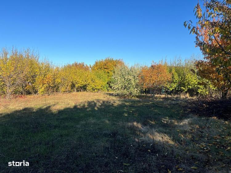 Teren constructie 800mp Rediu Horlesti - 2