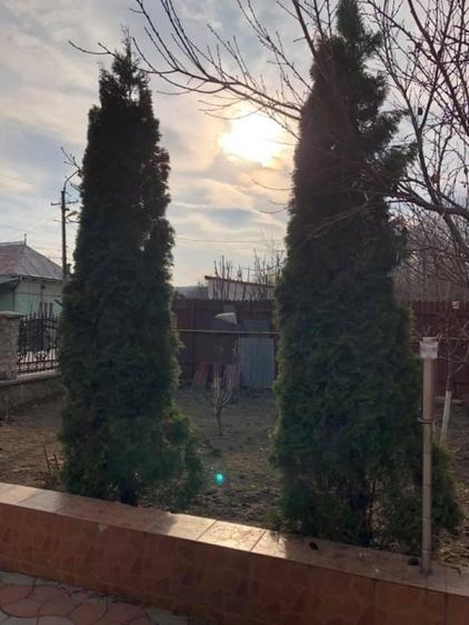 Casa de vanzare Baile Govora oportunitate investitie - 3