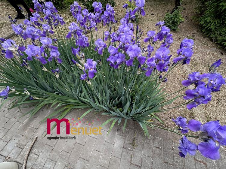 Terenn 2800 mp+ Casa  , oaza de liniste si relaxare - 17