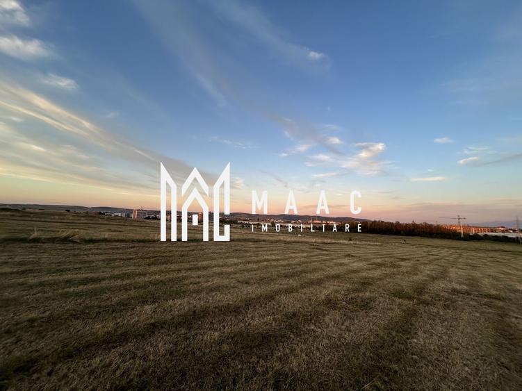 Teren Intravilan  I 16500 MP |  Priveliște Panoramică | Turnișor - 1