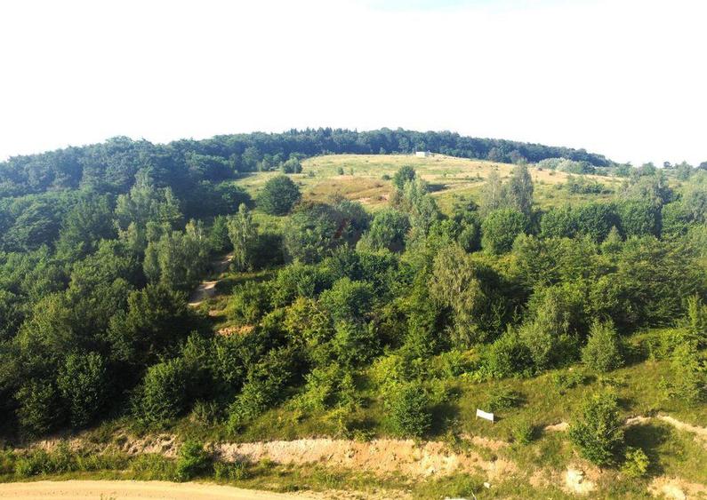 Teren de vanzare in Salicea, 10000 MP , Zona Moara de vant! - 4