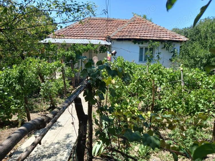 Casa de vanzare la ?ara - 3