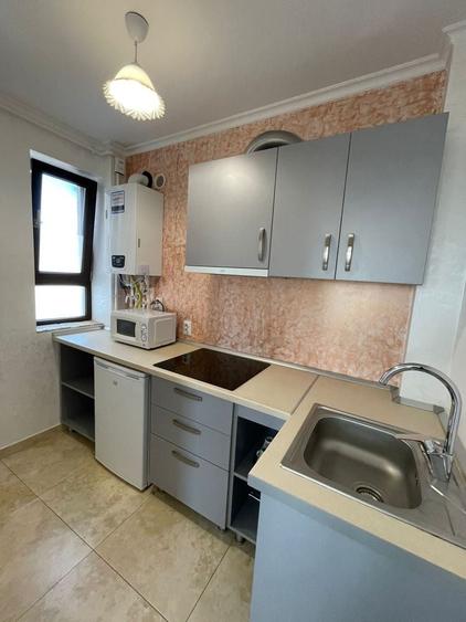 Apartamente de inchiriat Studio / 2 camere / 3 camere 250-350 - 4