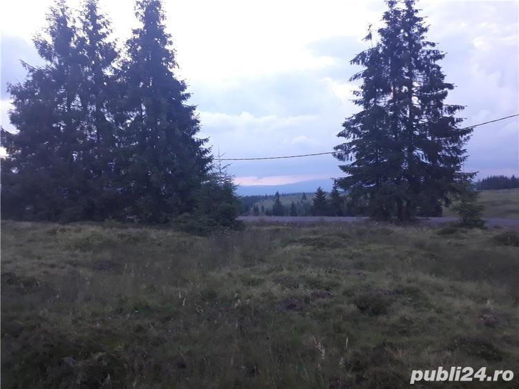 Teren în Beliș
